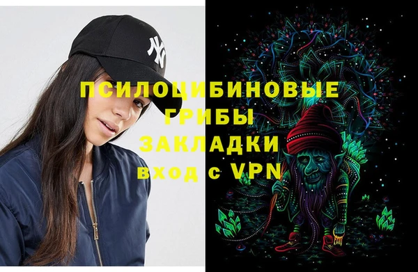мяу мяу мука Арсеньев